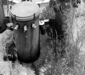 Polychlorinated Biphenyls (PCBs) | CPRI