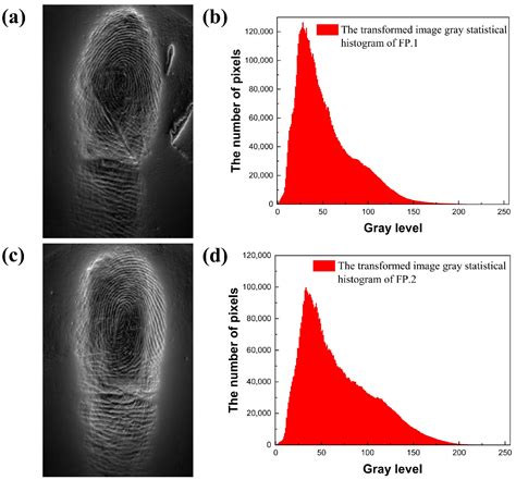 A Method for Fingerprint Edge Enhancement Based on Radial Hilbert Transform