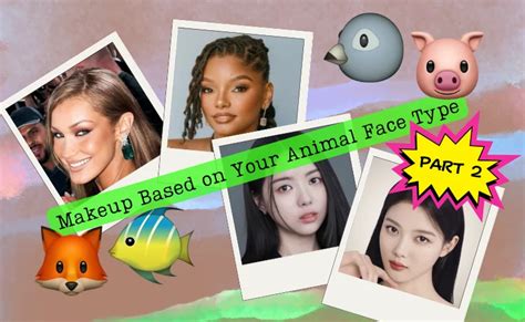 Makeup Based on Your Animal Face Type (Part 2) – THE YESSTYLIST