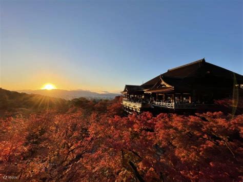 [Kyoto Tour - Top Grade A5 Kobe Beef] Fushimi Inari Shrine with ...