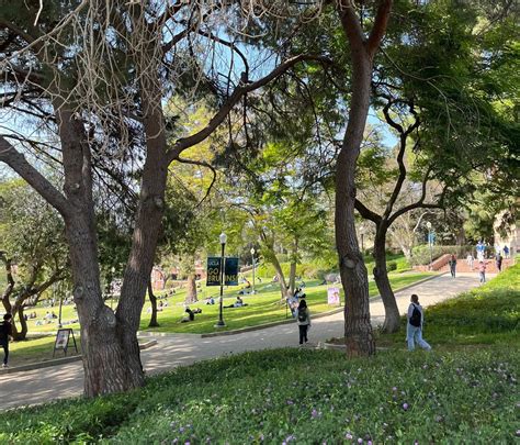 UCLA summer sessions — ASUCLA