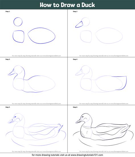 Image result for Drawing a Duck Step by Step