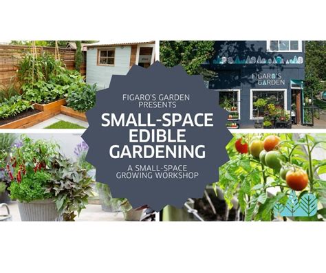 Small-Space Edible Gardening, Figaro's Garden, Vancouver, 18 May 2023 ...
