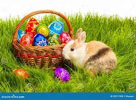 Image result for Easter Bunny with Basket