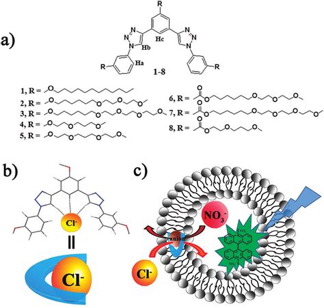 Compound 的图像结果
