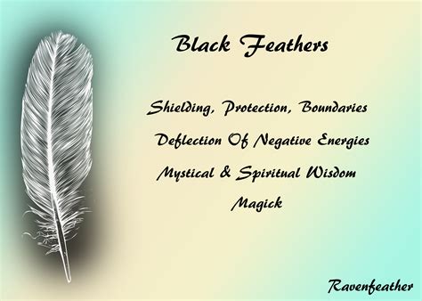 Black Feathers | Feather meaning, Black feather meaning, Black feathers