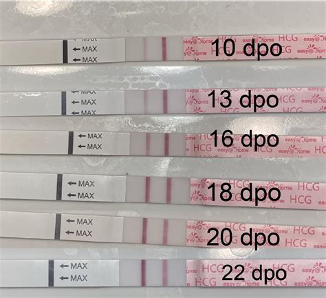 Horrible progression (dpo 11-22) with MomMed cheapie, but healthy ...