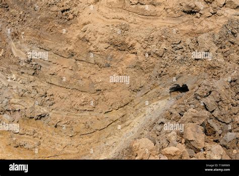 Image result for How to Develop a Spring for Water