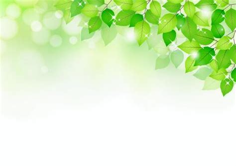Image result for Learning Print Script