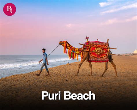 Puri Jagannath Tour with Gangasagar from Kolkata