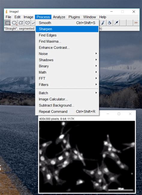 Microscope Image Processing 的图像结果