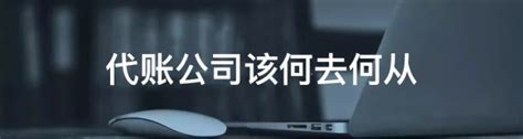 代理记账_上海市企业服务云
