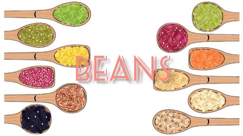 Types of beans | in english | with picture and american pronunciation ...
