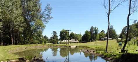 Riverside Manor, Rosetta