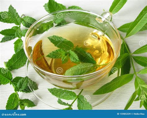 Herbal Tea with Lemon Verbena and Moroccan Mint Stock Image - Image of ...