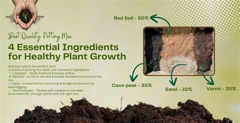 Best Quality Potting Mix With 4 Basic Ingredients – Pick Your Plant