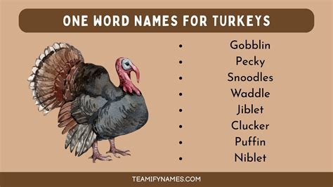550+ Funny Turkey Names That Will Make You Gobble with Laughter ...