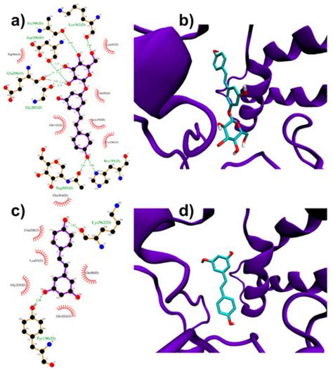 Interference of Polydatin/Resveratrol in the ACE2:Spike Recognition ...