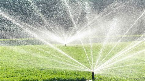 Irrigation System Design & Installation | Michalski Lawn Care