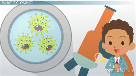 Cloning Examples 的图像结果