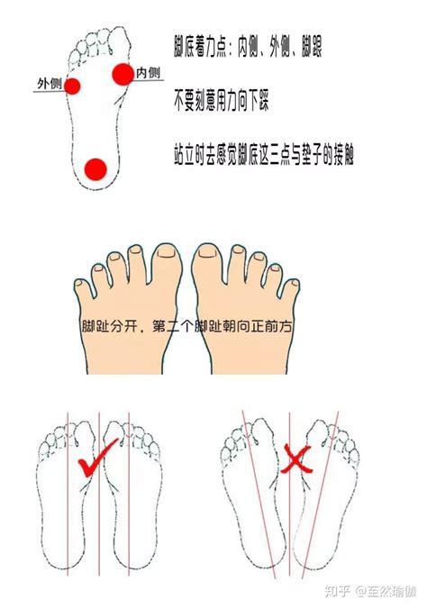 标准足部反射区挂图_999穴位网