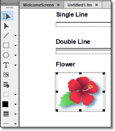 Image result for Adobe Frame Tool