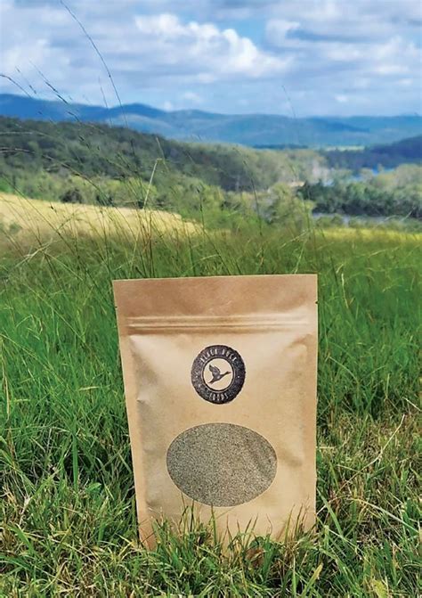 ISSUE 33 PIP PICKS - Pip Magazine