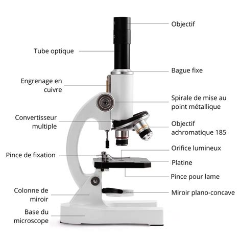 Image result for Microscope Optique