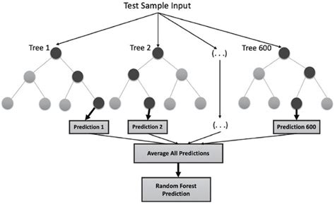 Modelling and Optimisation of Hysteresis and Sensitivity of ...