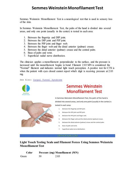 Semmes Weinstein Monofilament Test by Orthofixar - Issuu