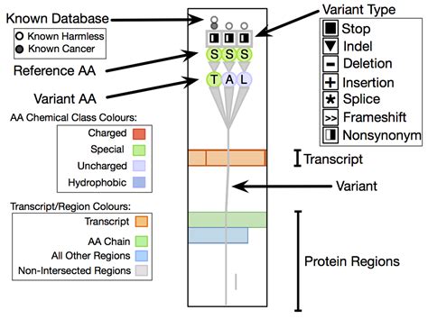 Image result for Variant Definition