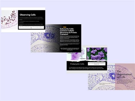 Cell Structure 的图像结果