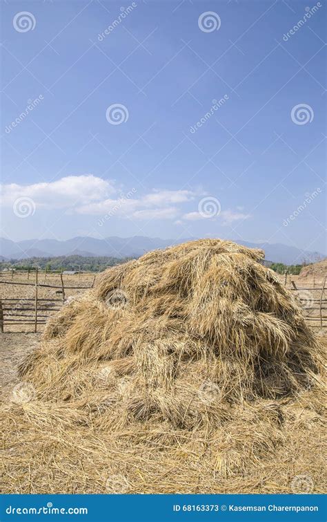 Haystack 的图像结果
