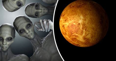 Alien Women of Venus 的图像结果