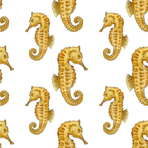 300,000+ Free Marine Wallpaper & Nature Images - Pixabay