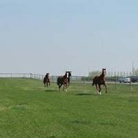 All Events in Saskatoon, Today and Upcoming Events in Saskatoon