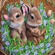 Image result for Baby Bunnies in a Basket