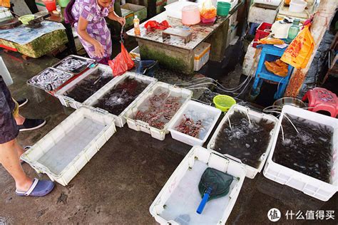 走进华南海鲜批发市场 体验武汉最大的海鲜市场