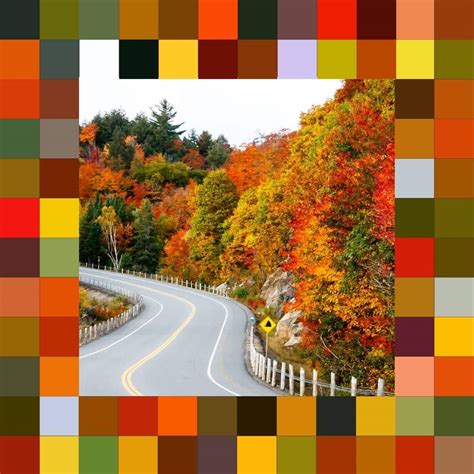 50 Fall Color Palettes: Beautiful Autumn Color Schemes - Celebrate and ...