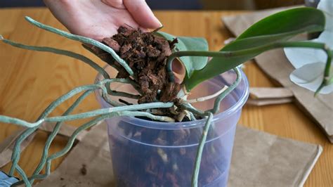 Image result for Life Hacks Craft