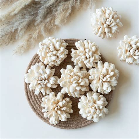 White Sola Wood Fancy Flowers (Pack of 10) – Flowers and Fillers
