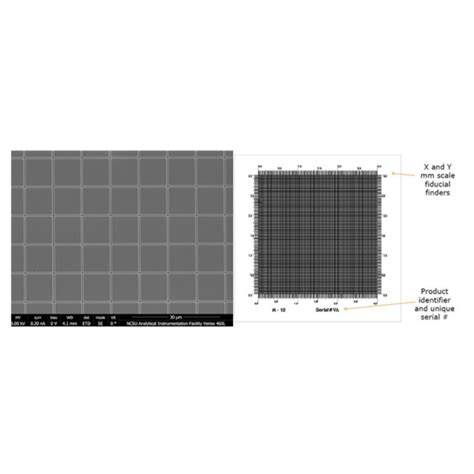 Image result for Dr Eppley Grid Pattern