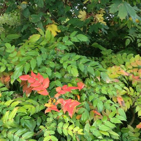 MOWSBURY PARK (2026) All You Need to Know BEFORE You Go (with Photos ...