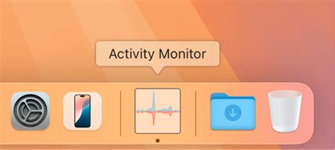 Activity Monitor User Guide for Mac - Apple Support (IN)