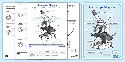 Microscope Diagram Pack (teacher made) - Twinkl