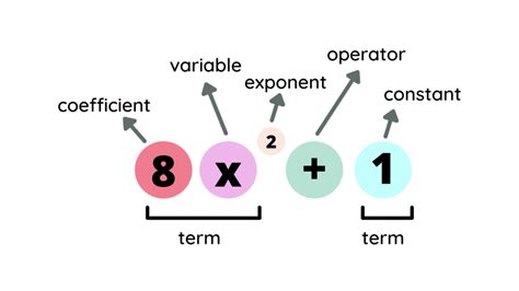 Polynomials Examples Math 的图像结果