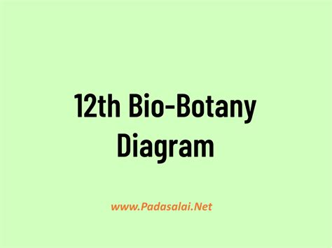 12th Bio Botany TM 的图像结果