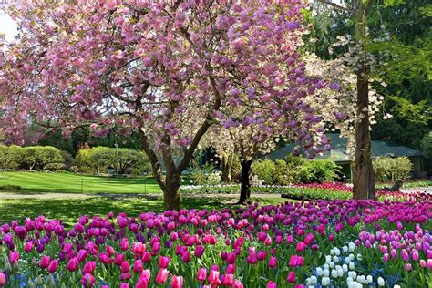 Image result for Spring Boot Default JSON Exception