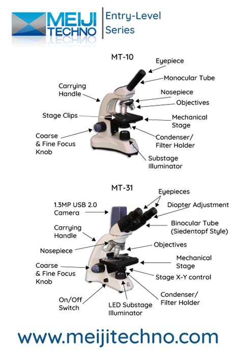 Microscope Terminology 的图像结果