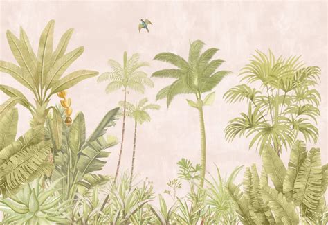 Un village de la jungle, thème nature Fonds d'écran | Vie et couleurs ...